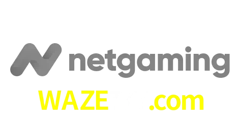 NetGaming